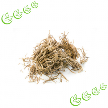 Äth. Vetiveröl BIO 1 l